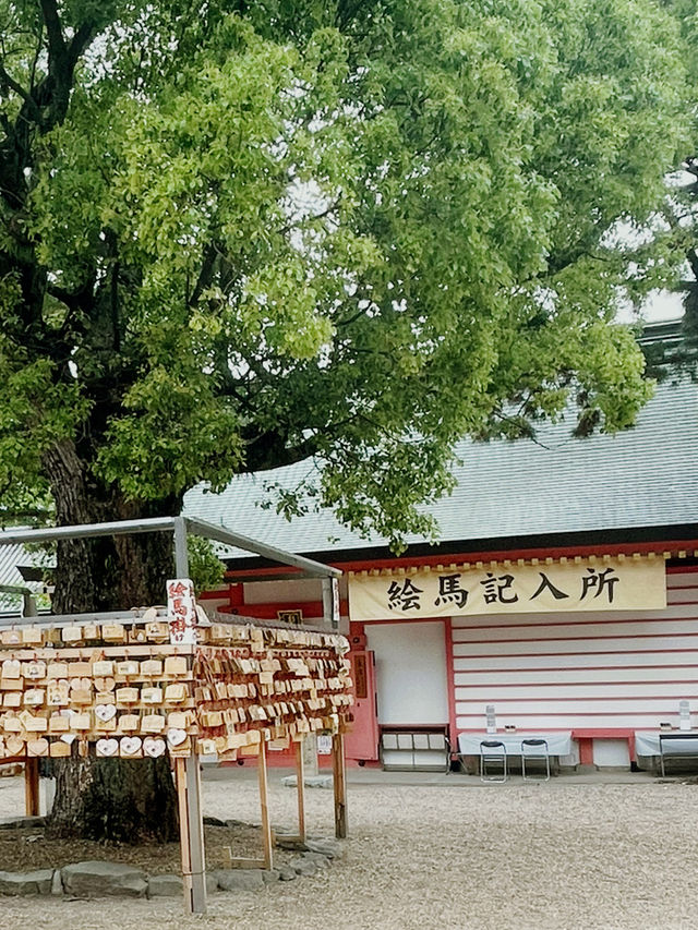 日本 大阪｜住吉大社｜五大力祈願與太鼓橋的靈氣巡禮