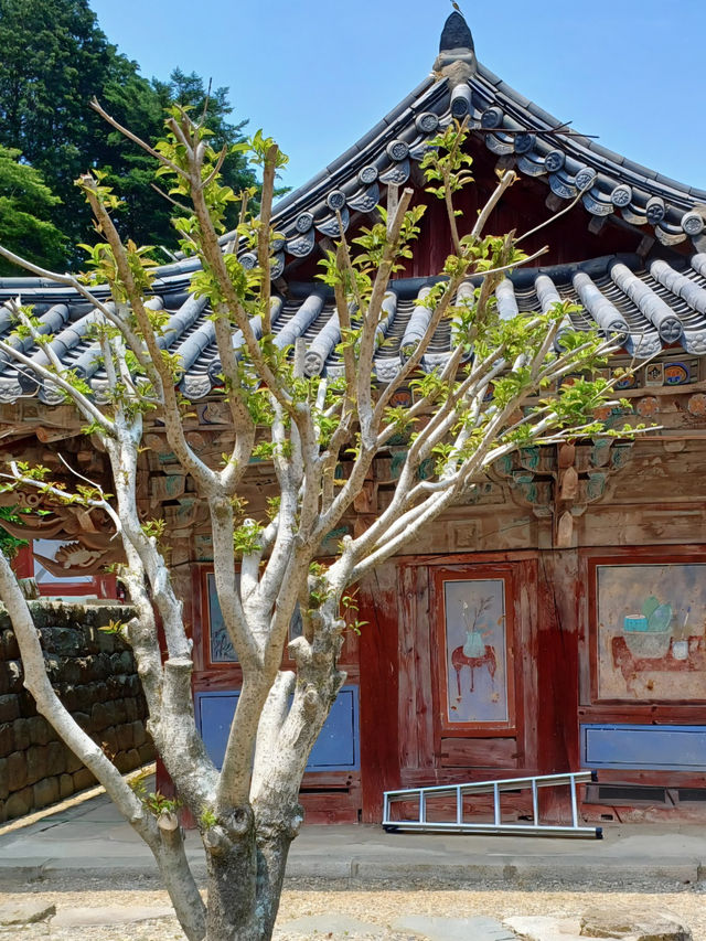 자연과 어우러진 고요한 산사