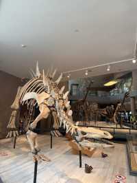 Shanghai Natural History Museum