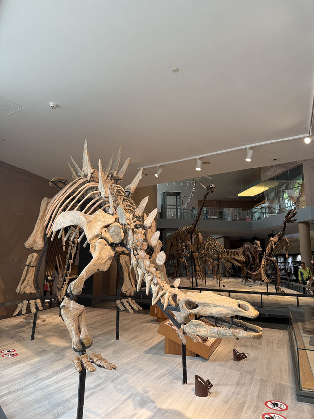 Shanghai Natural History Museum