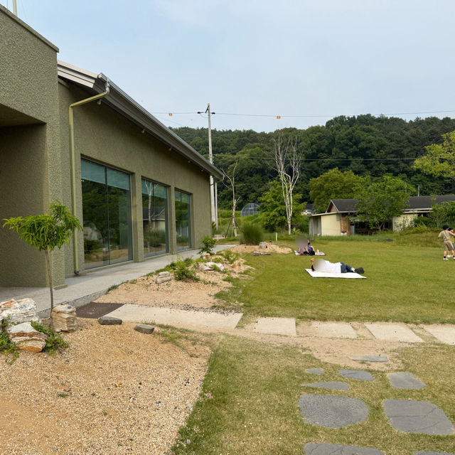 🫧👗아산 샤스타데이지 카페 카페지새울