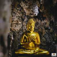 วัดพายัพ