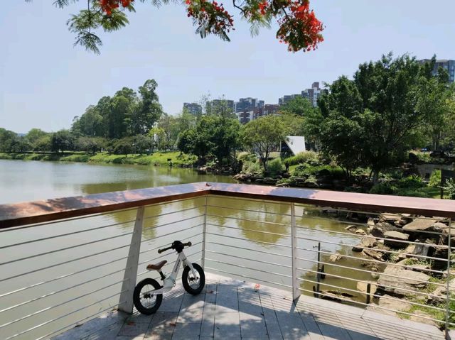 🏞️ 松山湖生態園區