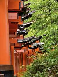 โอซาก้า🇯🇵