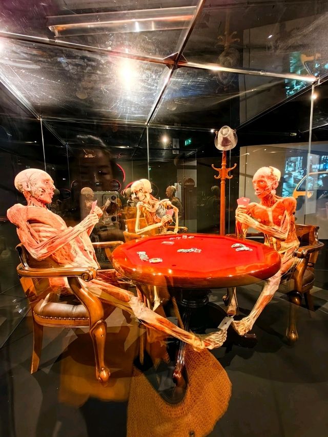 醫科生必去的人體奧妙展@Amsterdam 