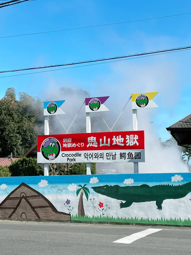 ♨️ 벳푸 여행 필수코스 지옥온천 ♨️