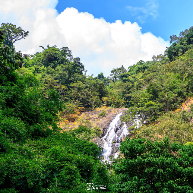 น้ำตกสาริกา 🌿 น้ำตกสุดฮิตแห่งนครนายก