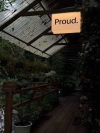 ค่าเฟ่ proud proud proud เชียงใหม่ แม่กำปอง
