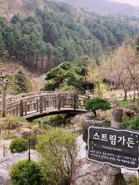 봄 꽃이 말을 거는 계절