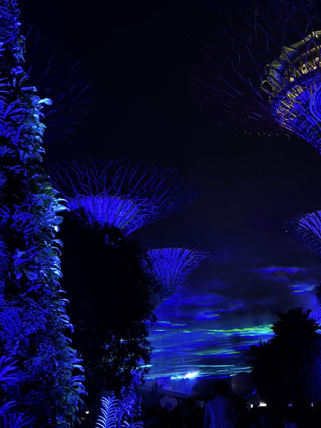 Northern lights in Singapore !