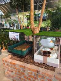Secret Garden Café in Desaru – Budget-Friendly and Beautiful!