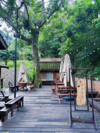⛩️被遺忘的昭和時光｜桃園神社，一場靜謐與歷史的對話