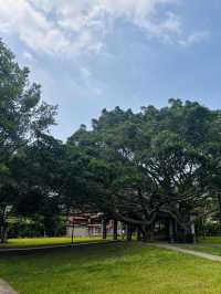 【桃園南昌森林運動公園｜小孩放電＋親子散步＋毛孩友善，一次滿足】