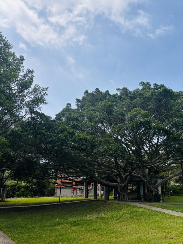 【桃園南昌森林運動公園｜小孩放電＋親子散步＋毛孩友善，一次滿足】