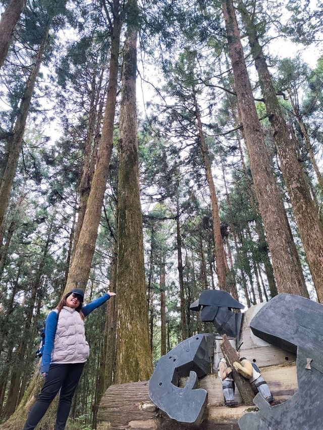A Dreamy Walk at Alishan