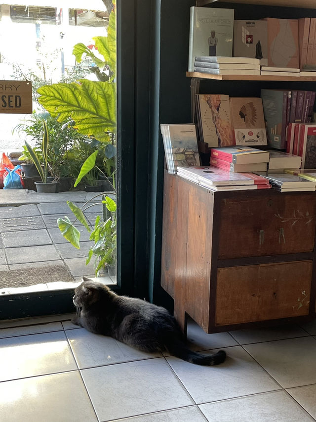 A book with no name ร้านหนังสือที่มีแมว 