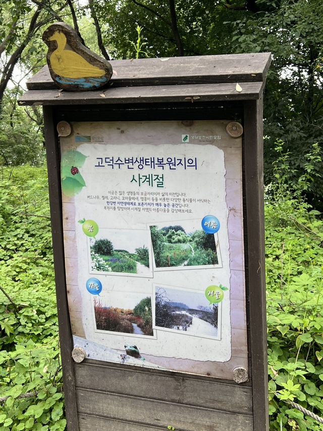 고덕 수변 생태 공원