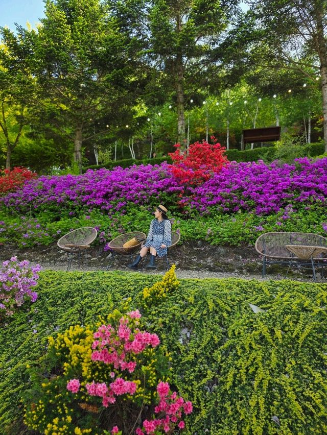 유럽감성 가득한 초록숲속 정원카페🏡