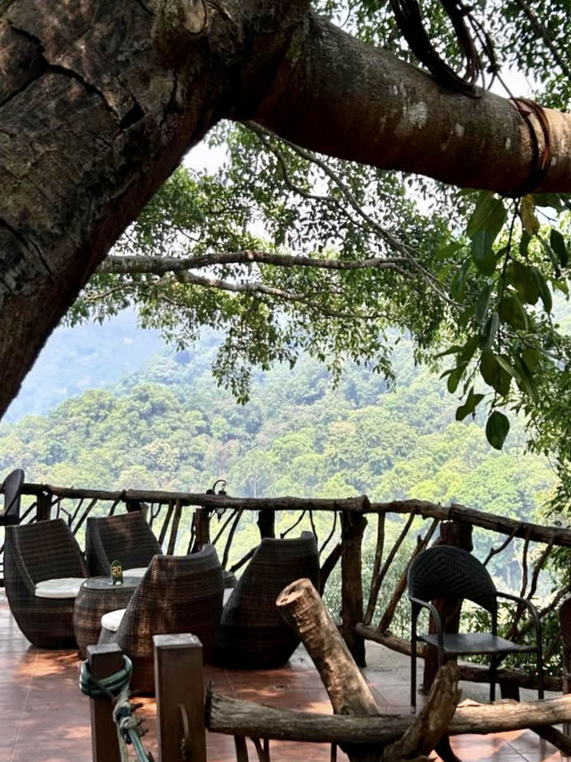 산 속 오솔길과 목재 테라스, 💚아름다운 자연경관이 있는 치앙마이 카페투어🏞️
