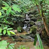 Perlis State Park