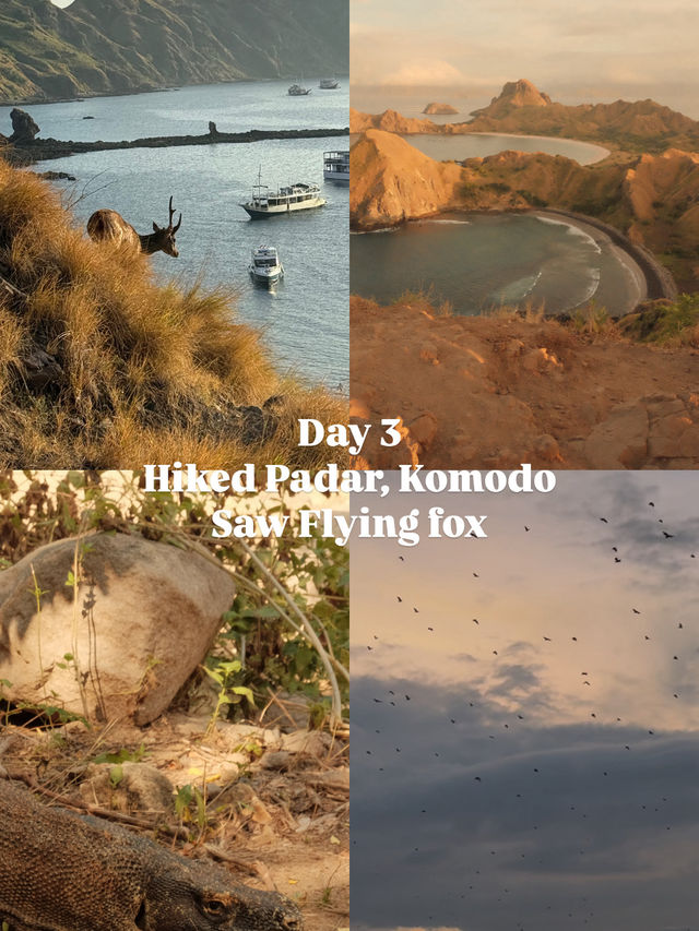 Labuan Bajo 7 Days Itinerary