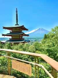 🌸⛩️ 3D2N Mt. Fuji, Hakone & Kamakura Scenic Escape! 🗻🚞✨