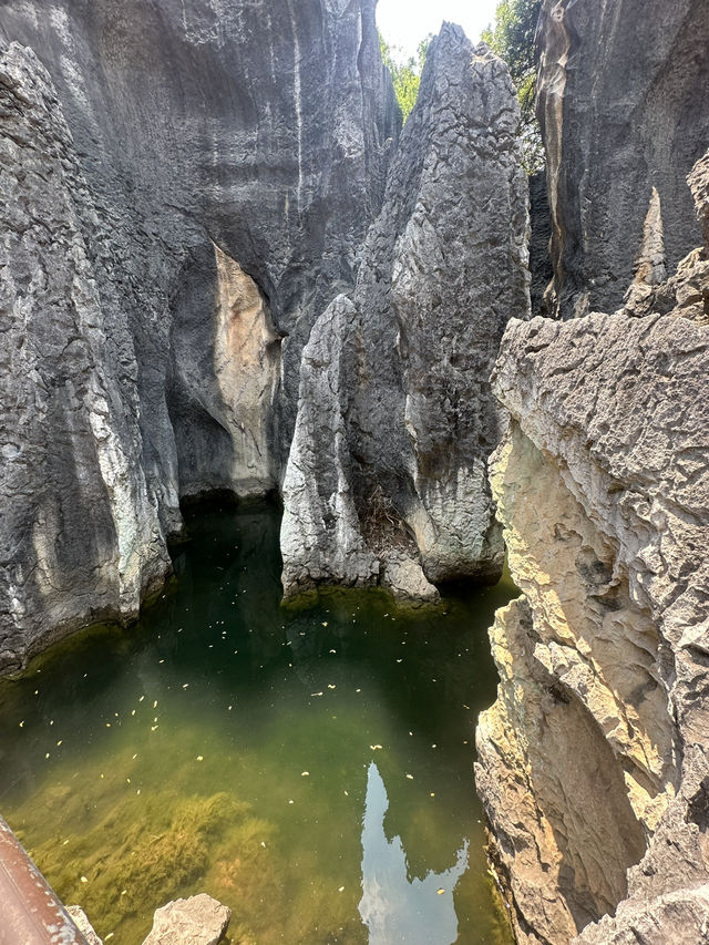 Explore the Otherworldly Beauty of Stone Forest – Yunnan’s Natural Wonder