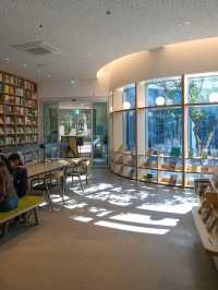yangcheon park bookshelf
