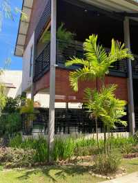 Rice Fields & Relaxation: Discover Villa Paddy, Langkawi