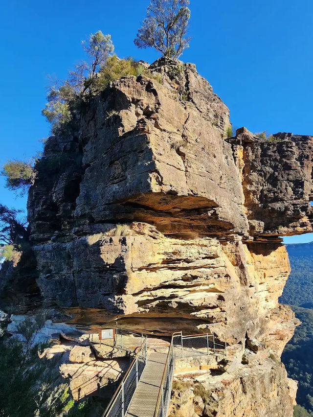 🏞️【青い霧に包まれる絶景】ブルー・マウンテンズで深呼吸する旅