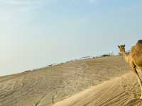 Dunes & Dreams: A Desert Adventure in Dubai