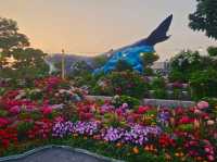 The decoration of blossoming hydrangeas at Jangsaengpo