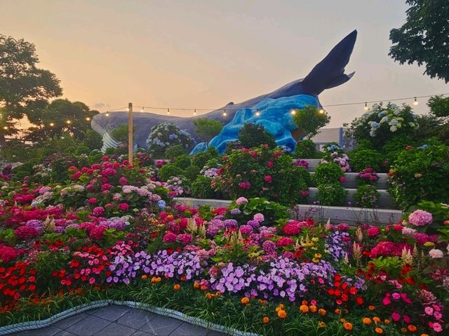 The decoration of blossoming hydrangeas at Jangsaengpo