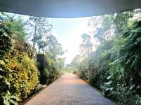 The Wonder of the Sunken Garden, Japanese Gardens