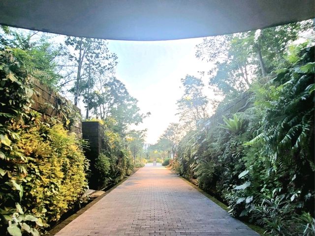The Wonder of the Sunken Garden, Japanese Gardens
