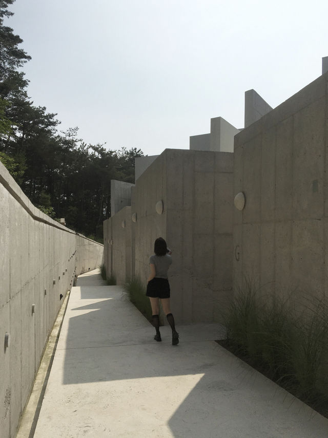 힐링과 쉼을 원한다면 무조건 여기로 가세요🫶🏻