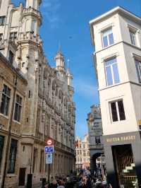 Gilded Showstoppers: A Whirl Around Brussels’ Grand Place!