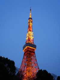 東京タワー人気撮影スポット＆東京タワーが目の前にある寺カフェ📸
