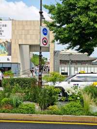 Seoul City Vibes in late June (Summer)