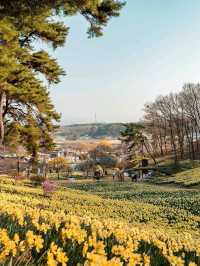 Organic House, Unsan‑myeon