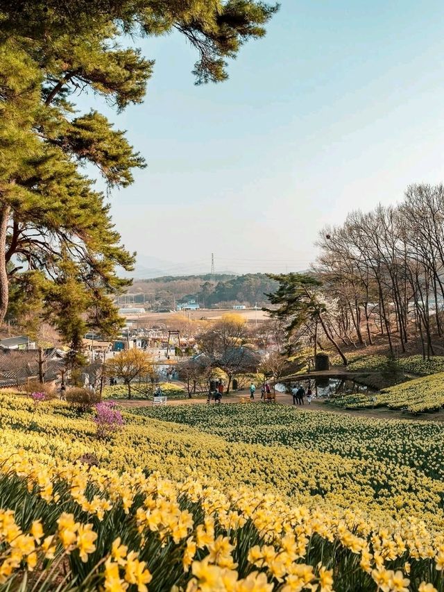 Organic House, Unsan‑myeon