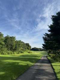 웰링턴CC (Wellington Country Club) – 이천의 신비로운 프라이빗 챔피언십 코스 