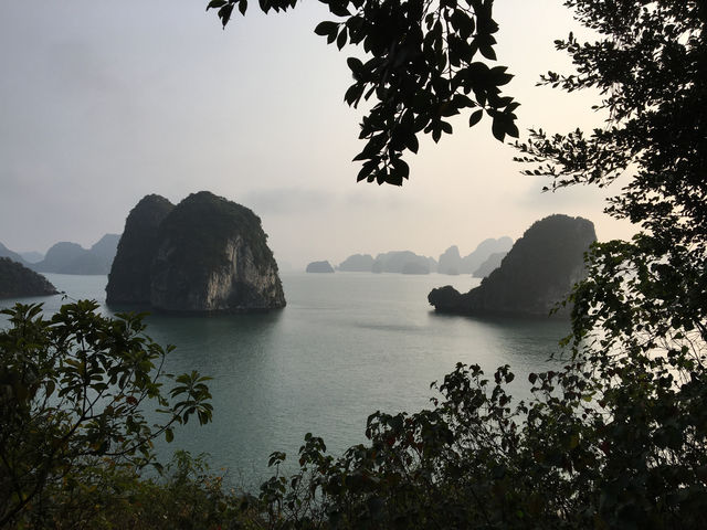 🚢🌿 Sailing Through a Dream: My Halong Bay Cruise Experience