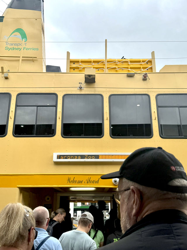 🦒🐨 Wild Day Out at Taronga Zoo Sydney! 🌿🌊