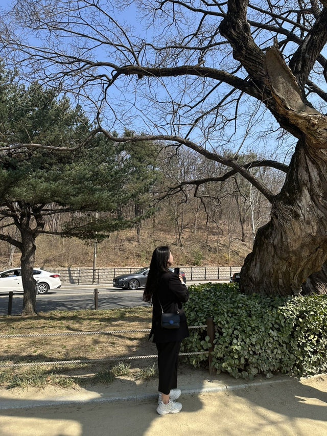 🌅분위기 미쳤다! 대구 수성못 야외데이트 코스 추천💑