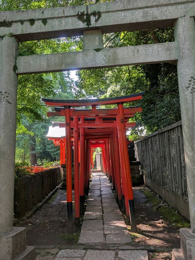 Nezu Shrine (Bunkyo)