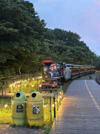 제주 아이랑 밤에 가볼만한곳