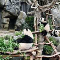 Day 1: Hong Kong Highlights Extravaganza