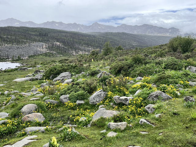 🌲🌊 Mugecuo Lake (木格措) — Highland Gem Near Kangding