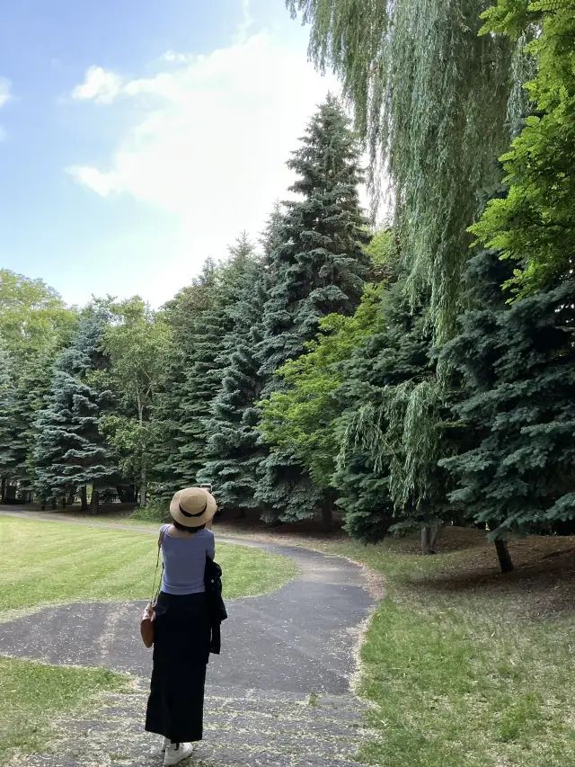 2025年夏季北海道自由行